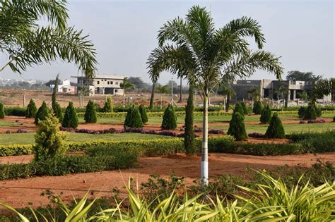 9000 Sq Ft Plot For Sale In Fortune Infra Developers Butterfly City