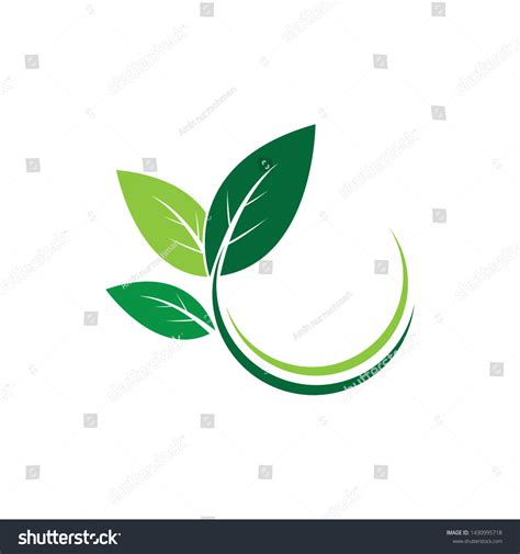 Logos Of Green Leaf Ecology Nature Element Royalty Free Stock Vector 1430995718