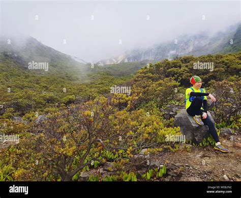 Gunung Gede Pangrango National Park Fotografías E Imágenes De Alta