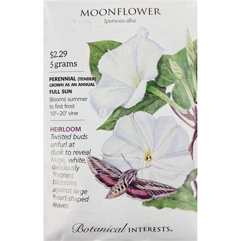 Annual Plants - Seeds Moonflower - Atlanta's Favorite Florist - Hall's ...