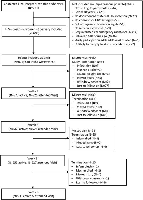 Study Flow Abbreviation Hiv Human Immunodeficiency Virus Downloaded