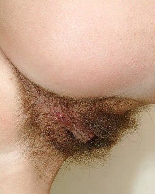 Chattes Poilues Porn Pics PICTOA