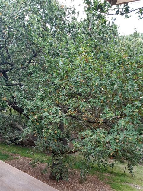 Dianne Wollaston And John Penders Complete Garden Local Food Connect