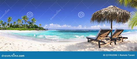 Chairs in Tropical Beach with Palm Trees Stock Photo - Image of water ...