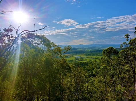 Lamington National Park, QLD, Australia [OC] [2481x1860] : EarthPorn