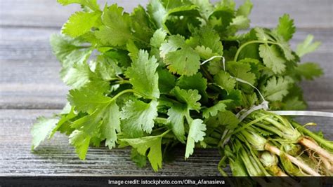 4 Ways to Use Coriander for Beautiful Skin - NDTV Food