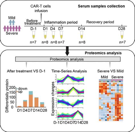 Longitudinal Serum Proteomics Characterization Of Cd Car T Cell