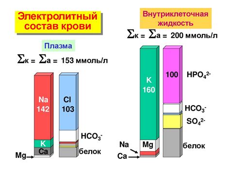 Кислотно-основное равновесие в процессах жизнедеятельности ...