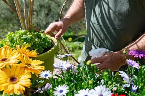 El jardinero está rociando agua limpia o fertilizante líquido en las