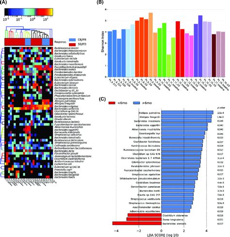 Gut Microbiome Analysis A Hierarchical Clustering Of Species