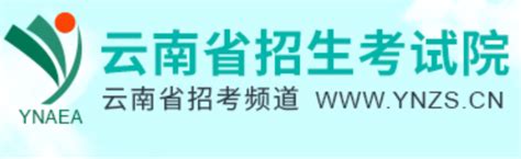 2023年云南高考成绩查询官网入口：ynzscn —中国教育在线