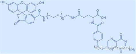 荧光标记试剂异硫氰酸酯荧光素聚乙二醇叶酸fitc Peg Fafa Peg Fitc在免疫组织化学和免疫染色中的应用 知乎