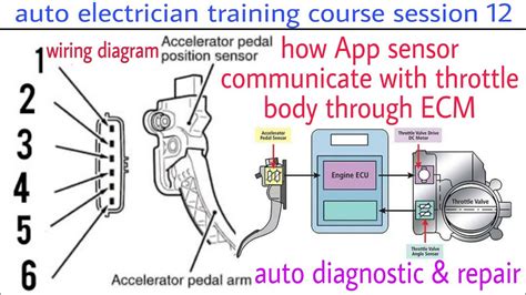 Pin Throttle Position Sensor Wiring Diagram Throttle Posit