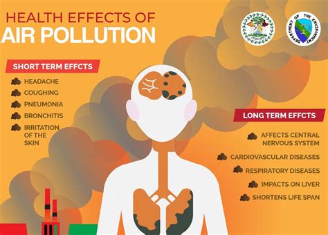 effects  air pollution  human health   action aqmx
