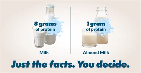 Milk Protein Facts American Dairy Association Ne