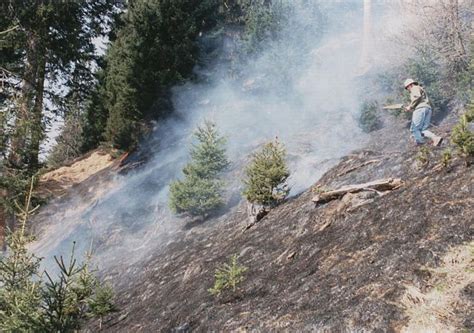 Gastein Im Bild Ereignisse Bad Hofgastein Freiwillige Feuerwehr