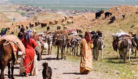 Firuzabad Qashqai Nomad | Iran Nomad Tour | Nomads | Iran Destination