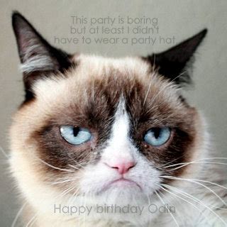 Grumpy Cat Birthday Quotes. QuotesGram