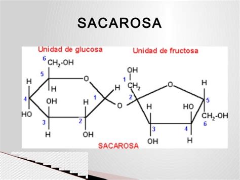 Sacarosa