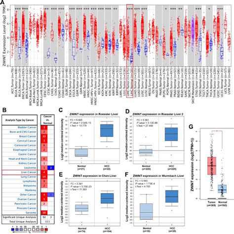 The Differential Expression Of ZWINT Between Cancer And Normal Tissues