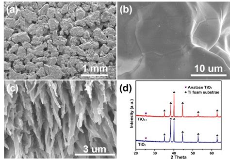 Fig S Sem Images Of A B Ti Foam And C Tio X Nanorod Arrays D