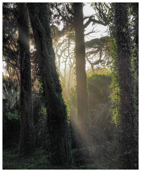 Crazy how a free software outperforms thousand dollar softwares