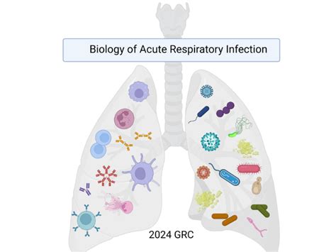 2024 Biology of Acute Respiratory Infection Conference GRC