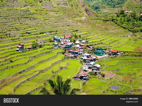 Rice Terraces Image & Photo (Free Trial) | Bigstock