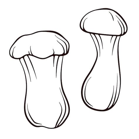 Premium Vector Eringi King Oyster Mushroom Hand Drawn Sketch Mushroom