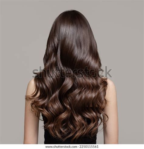 368,370 Young Woman Long Brown Hair Images, Stock Photos, 3D objects, & Vectors | Shutterstock