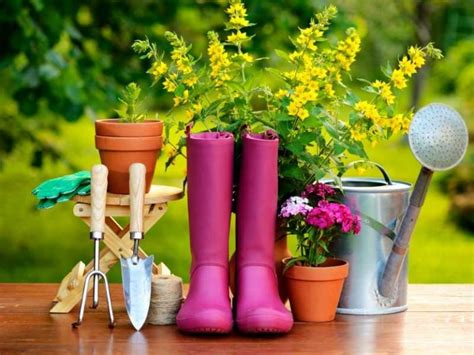 Basic Gardening Tools for Beginners - A List of Must Haves