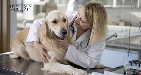 Vet Clinic Login - University of Guelph