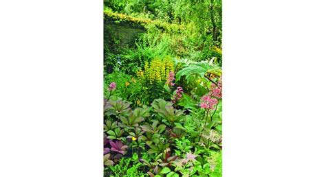 Plantes Les Vari T S Qui Aiment L Ombre Jardin Maison Jardins