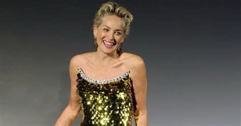 Sharon Stone’s Last Chance: The Story Behind Her Explosive Rise To Fame ...