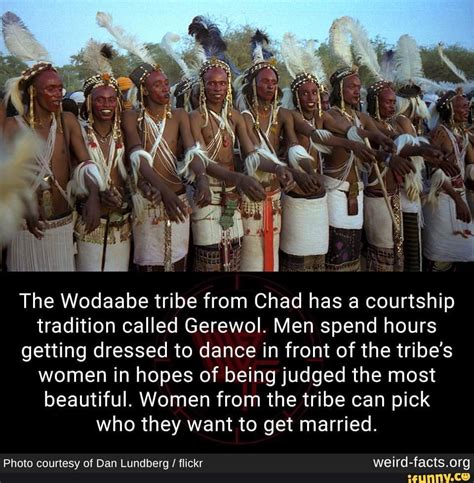 The Wodaabe Tribe From Chad Has A Courtship Tradition Called Gerewol Men Spend Hours Getting