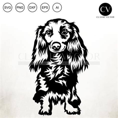 Dachschund Svg Long Haired Dachshund Svg Cut File Cricut Doxie Etsy