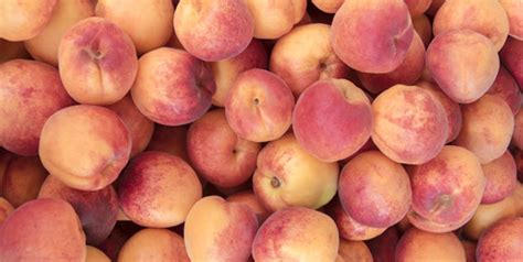 आड़ू के सेवन से होते हैं ये 7 फायदे और 4 नुकसान Peach Or Aadu Fruit