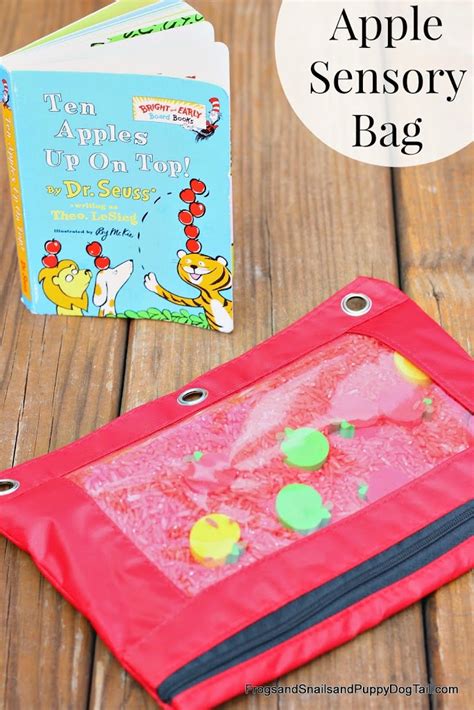 Ten Apples Up On Top Apple Sensory Bag Fspdt