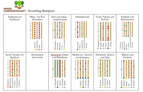 Mischkulturen Anbauplan