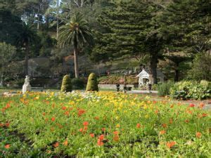 Wellingtons Botanischer Garten Wellington New Zealand