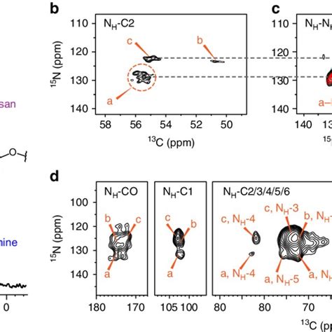 Chitin Is Structurally Polymorphic In Intact A Fumigatus Cell Walls A