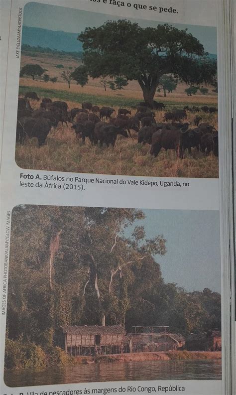 Observe As Fotos E Faça O Que Se Pede A Identifique E Descreva O Tipo