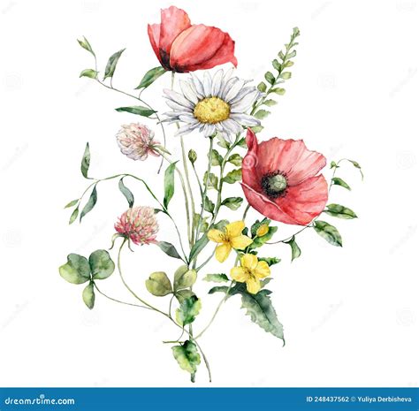 Watercolor Meadow Flowers Bouquet Of Poppy Chamomile Clover And