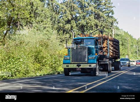 Huge Logging Truck With Bright Blue Cab Loaded With Fresh Cut Logs