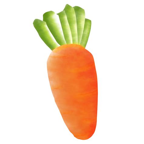 how to draw carrot