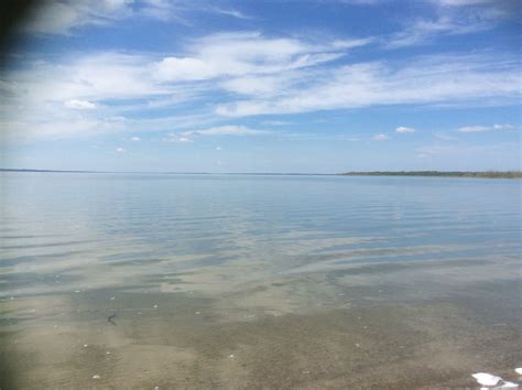 Buffalo Lake, Alberta | Lake, Outdoor, Earth