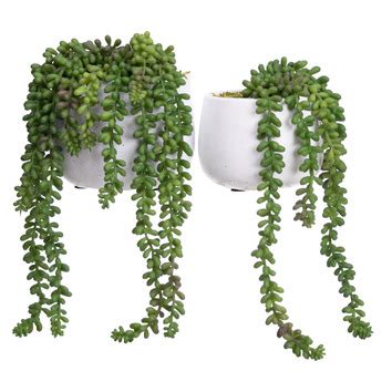 Pollen Fauna 2 Piece Green Potted Faux Hanging Pearl Plant Set Temple