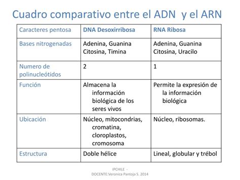 Cuadro Comparativo De Replicacion Transcripcion Y Traduccion Gen Tica