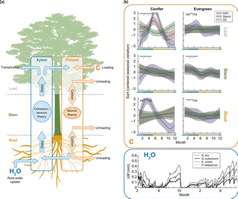 Integrating Plant Physiology Into Simulation Of Fire Behavior And