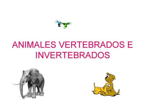 Check out this Kahoot called Naturales Clasificación animales on